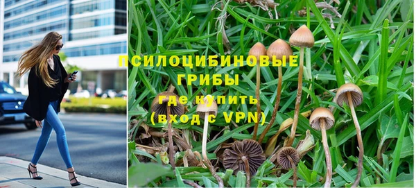 твердый Алексин
