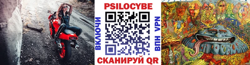 Купить где Ленинск-Кузнецкий Галлюциногенные грибы прущие грибы