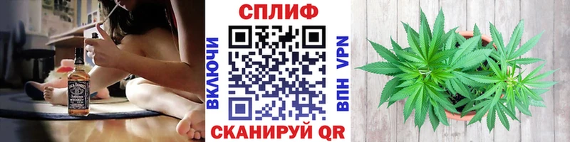 Каннабис планчик  Купить где  Ленинск-Кузнецкий 